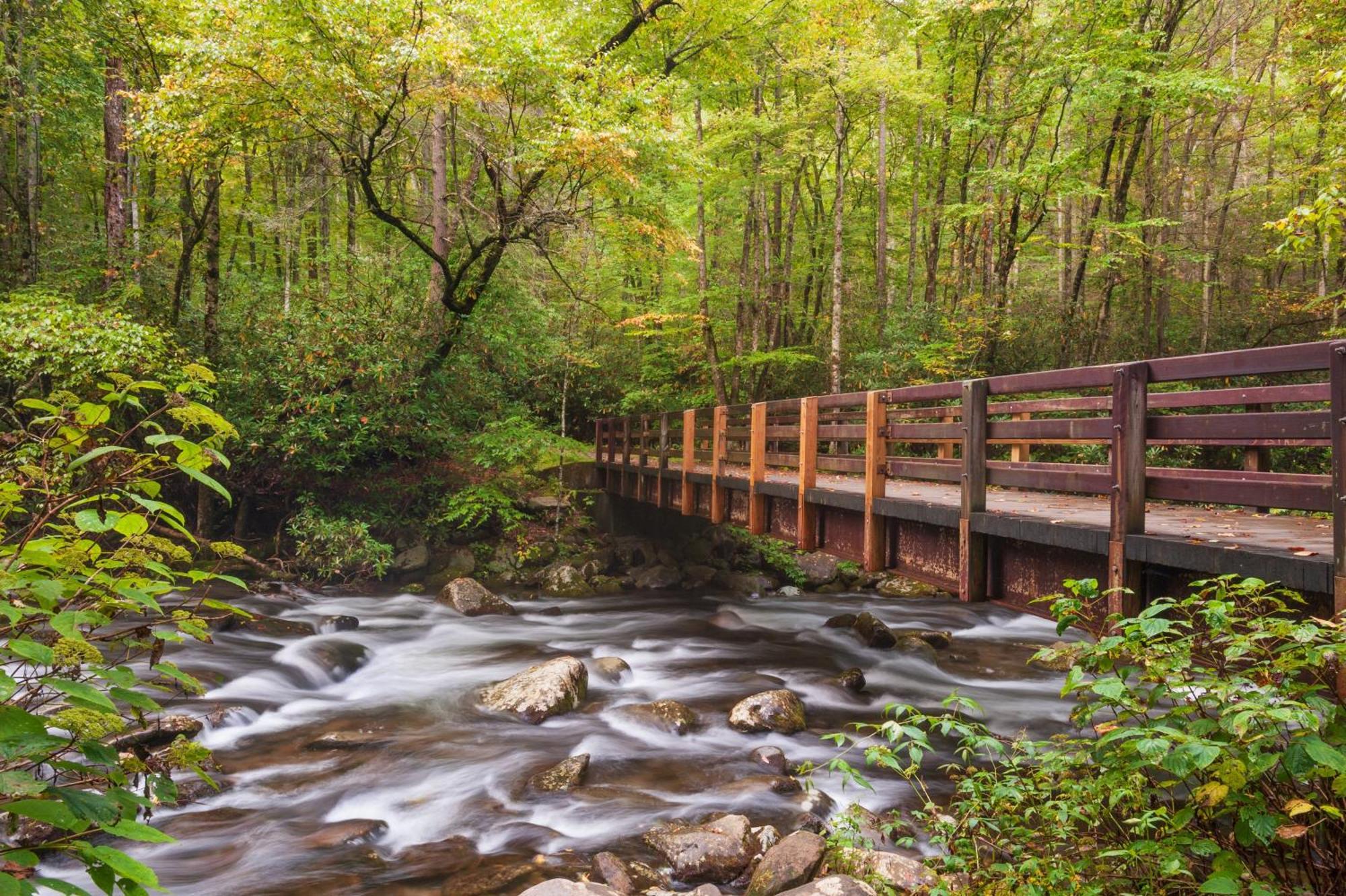 A Million Dollar View- Get 951 Worth Of Free Area Attraction Tickets For Each Paid Day! Villa Gatlinburg Exterior photo